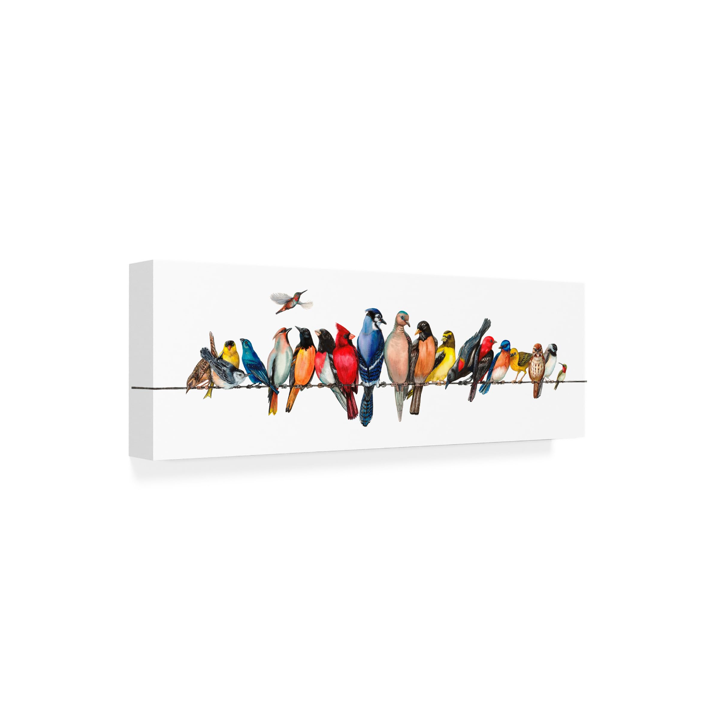 BIRD (モーガン・マッセン) Amazon.com: Trademark Fine Art Canvas Wall Art - Wendy